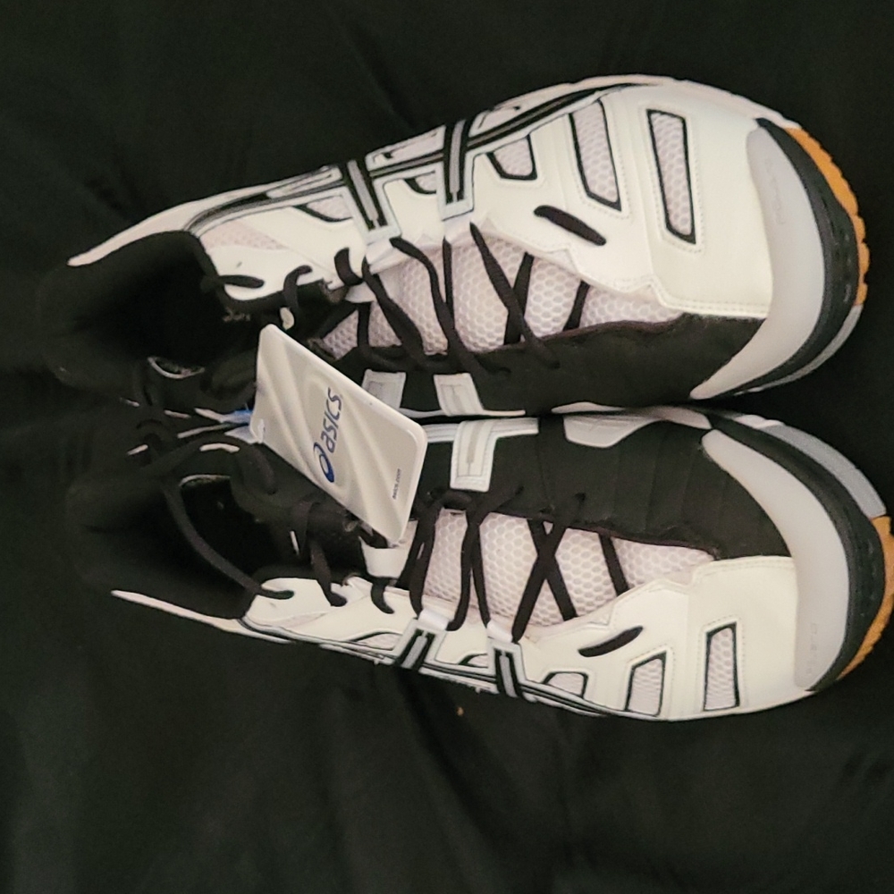 Ascis men shoes